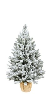 Pl Choinka Crystal Spruce  Pe Snow 75Cm