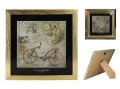 Obrazek - L. da Vinci (CARMANI) (1).jpeg