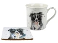 Kubek z podkładką - Collie (2).jpeg
