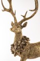 147024-1.jpg