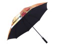 021_6620_b parasol van gogh.jpg