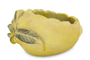 Osłonka-Prom.