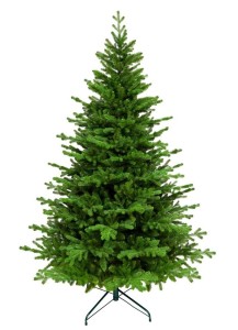 Pl Aspen Fir Green 320 Cm