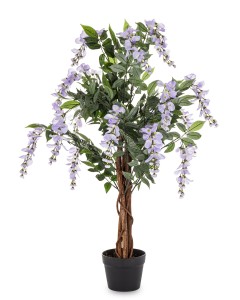 Drzewko Dekoracyjne Wisteria