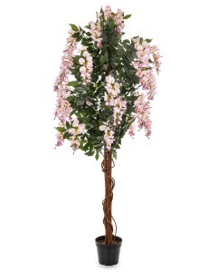 Drzewko Dekoracyjne Wisteria