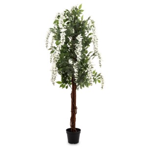 Drzewko Dekoracyjne Wisteria