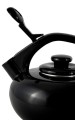 pol_pl_Czajnik-emaliowany-Forchetto-Luna-Nero-2-5l-indukcja-1094_7.jpg