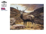 Ręcznik kuchenny - Stag